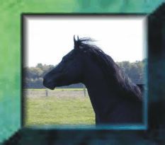 cheval