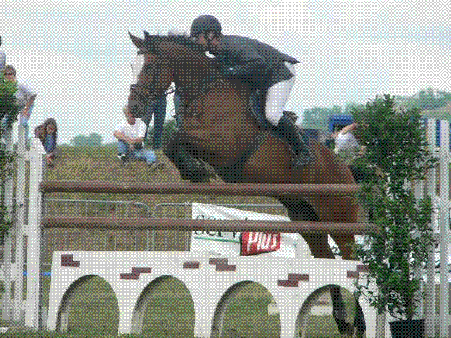 CSO