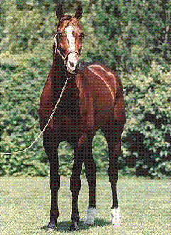 cheval