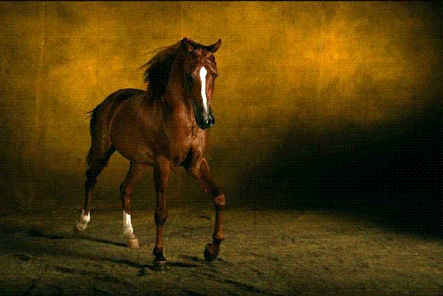 cheval