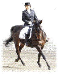 Dressage