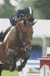 cso