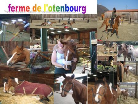 la ferme de l'ortenbourg